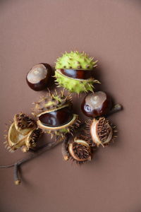 Close-up of chestnuts on table