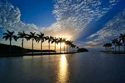 Silhouette palm trees by swimming pool against sky during sunset