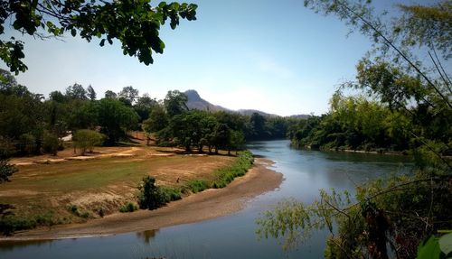 Scenic view of river with trees in background