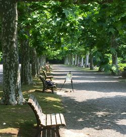 Empty bench in park