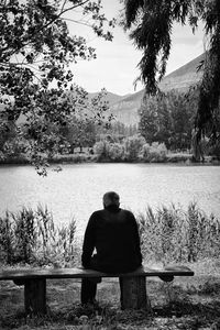 Rear view of man sitting on bench by lake