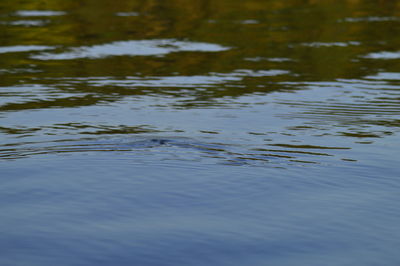 Full frame shot of rippled water