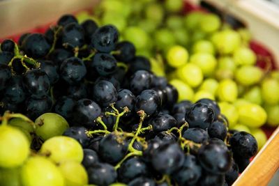Close-up of grapes