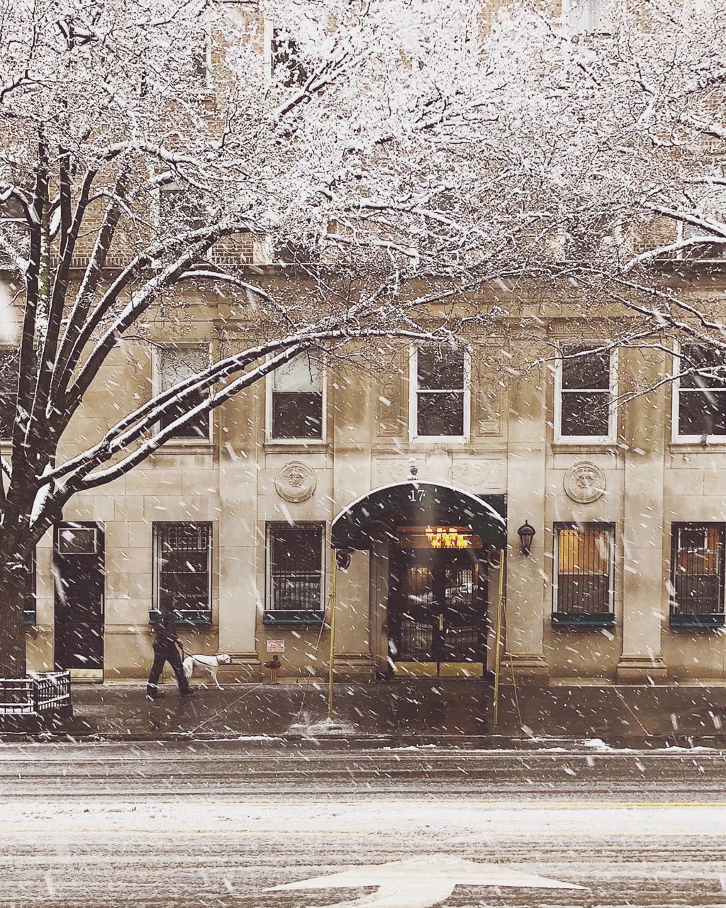 STREET BY BUILDING DURING WINTER