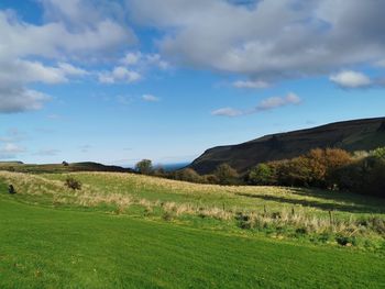 Scenic view of field against sky