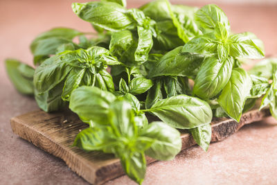 Close-up of leaves on cutting board