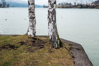 Scenic view of lake