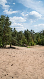 Scenic view of land against sky