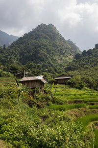 House amidst trees and mountains against sky