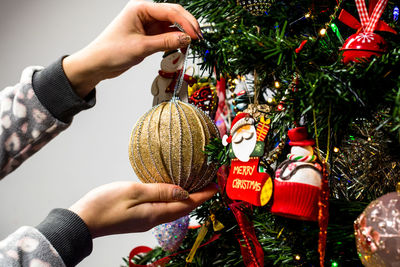 Midsection of person holding christmas tree