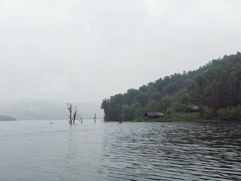 Scenic view of lake in forest against sky