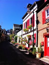 Potted plants on street amidst buildings against sky