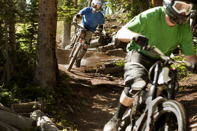 Athletes cycling in forest