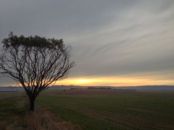 Scenic view of landscape at sunset