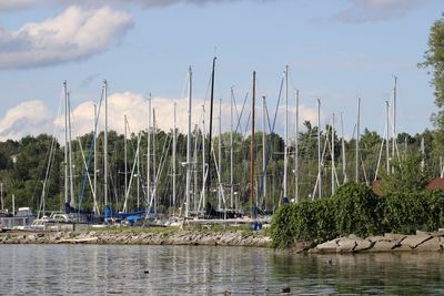 Sailboats moored in lake against sky