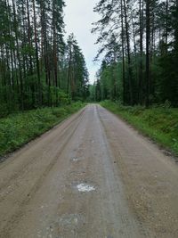 Empty road along trees