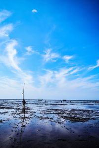 Man fishing in sea against blue sky