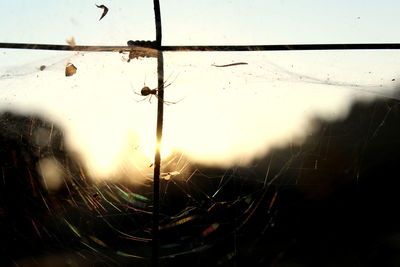 Close-up of wet spider web against sky