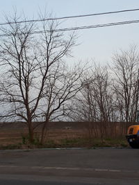 Bare trees by road against sky in city