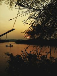 Silhouette plants by lake against sky at sunset