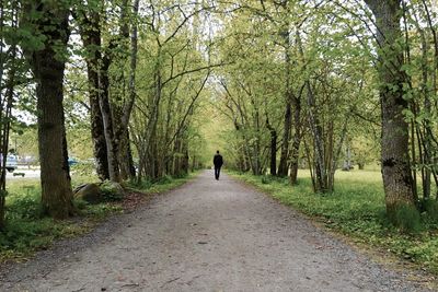 Man walking on road amidst trees growing at park