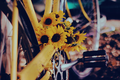 Close-up of sunflowers on bicycle parked outdoors