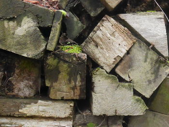 Close-up of weathered wall