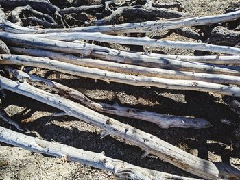 High angle view of log on field during winter