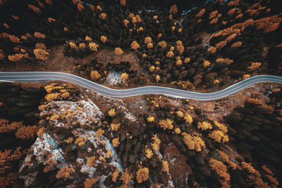 High angle view of road