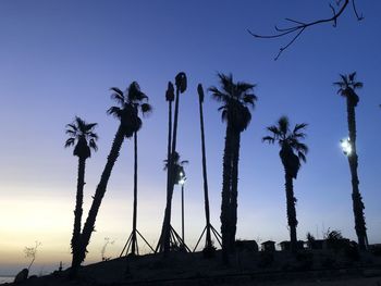 Low angle view of silhouette palm trees against sky at sunset