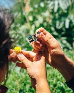 Close-up of people looking at flowers through magnifying glass