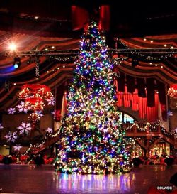 Low angle view of illuminated christmas tree