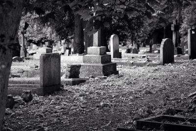 Panoramic view of cemetery