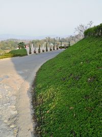 Scenic view of grass against clear sky