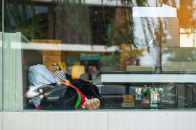 View of dogs on glass window