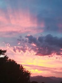 Low angle view of silhouette trees against dramatic sky