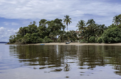 Scenic view of palm trees by lake against sky