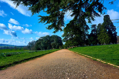 Empty road amidst trees on field against sky