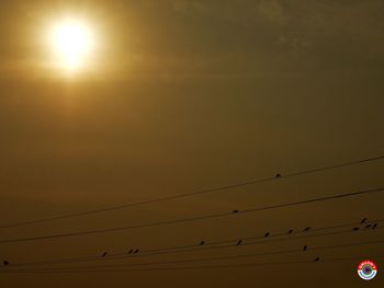 Low angle view of birds perching on power line