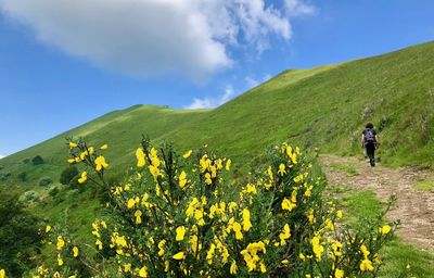 Rear view of people on yellow flowering plants against sky