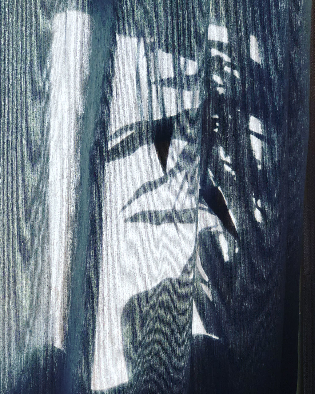 SHADOW OF PERSON ON WINDOW