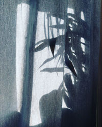 Shadow of man on glass window