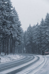 Snow covered road amidst trees in forest against sky