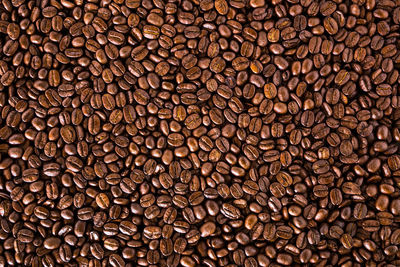 Full frame shot of roasted coffee beans in forest