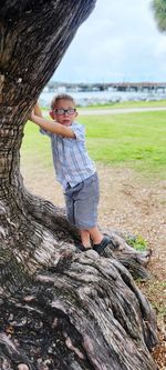 Portrait of boy standing on tree trunk