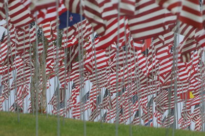 American flags on field