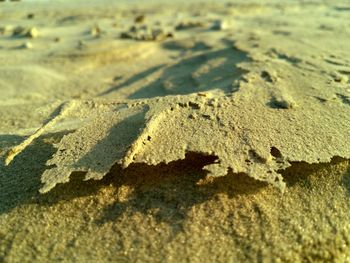 High angle view of sand at shore