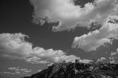 Low angle view of trees and mountain against sky