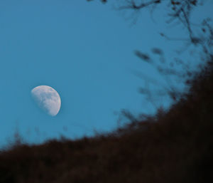 Low angle view of moon in sky