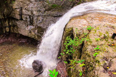 Scenic view of waterfall in forest